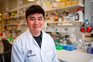 Intriguing connections between Alzheimer’s disease and other common conditions 