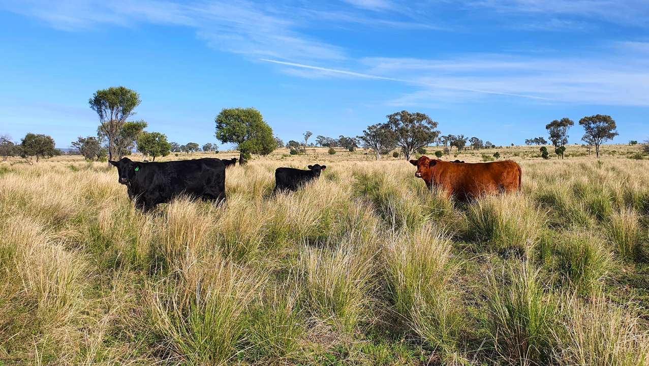 North West NSW