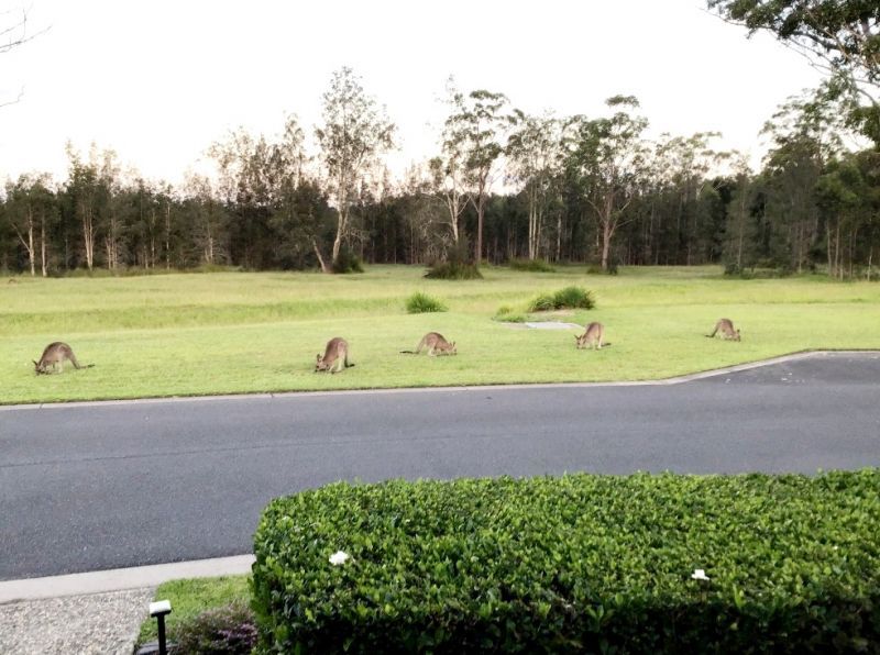 This home has un-interrupted woodlands view.