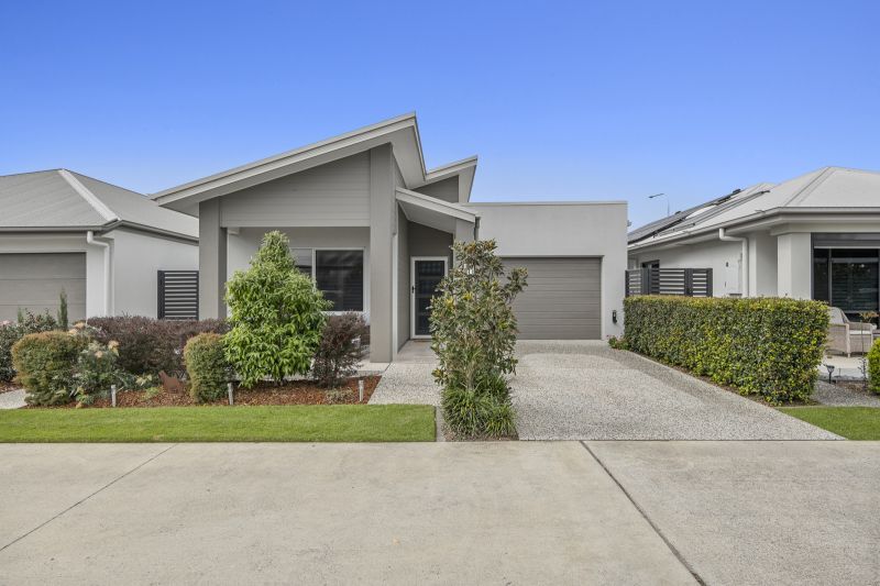 Site 169 - Established Rosevale