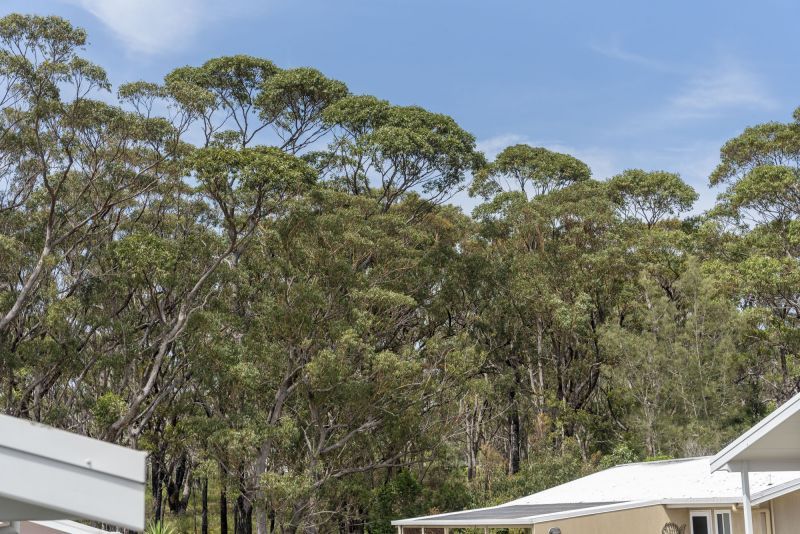 Stylish Living with Tranquil Bushland Views