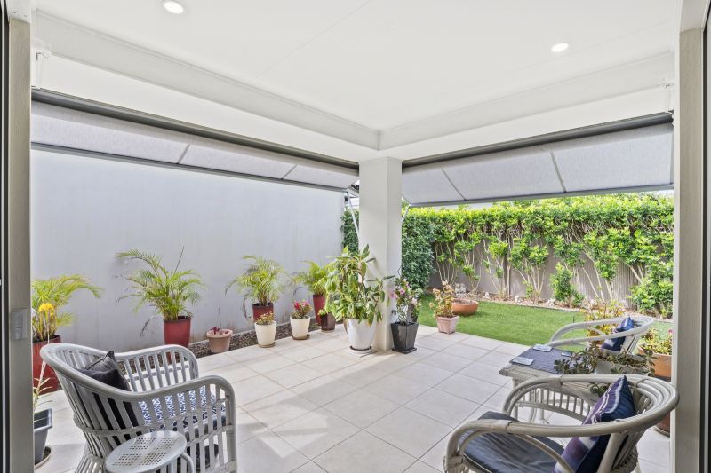 Site 36 - Established Hinchinbrook