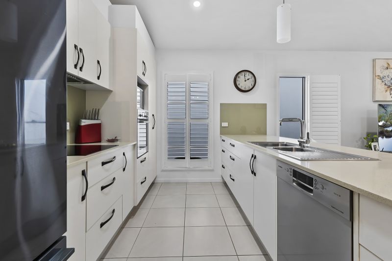 Stunning Rainforest Outlook