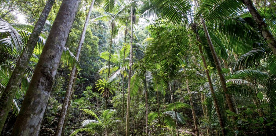 Northern Rivers