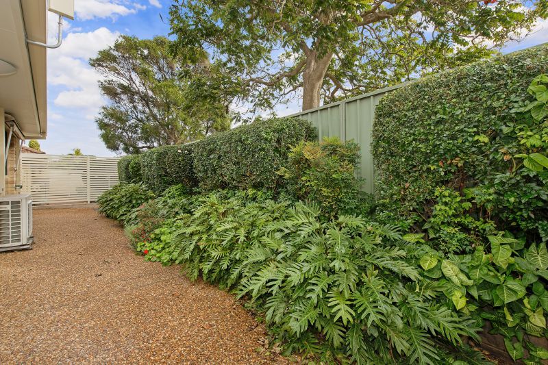 Modern and light filled level home with no steps