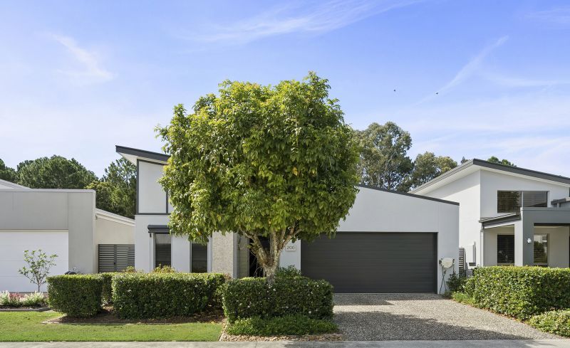 Site 200 - Established Heron