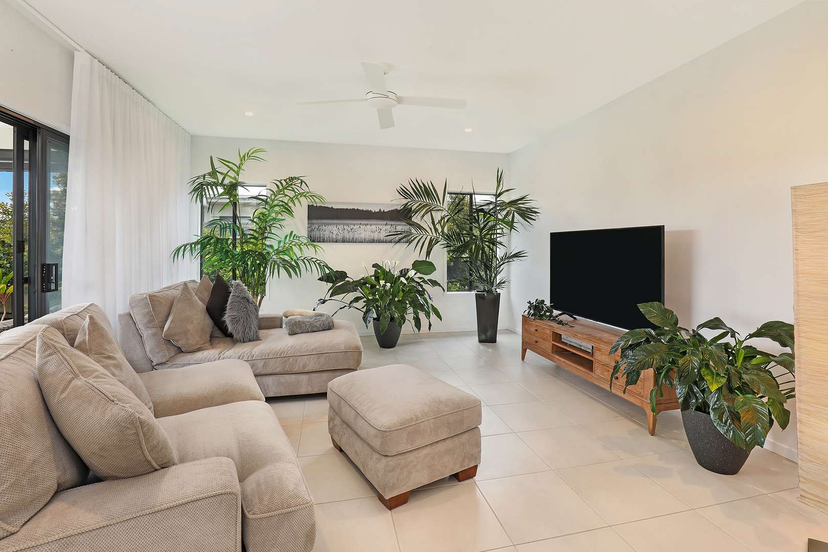 The Next Chapter is Looking Amazing! V238