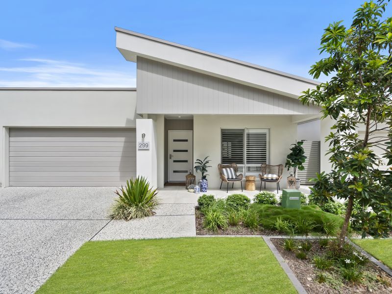 Site 299 - Established Sequoia