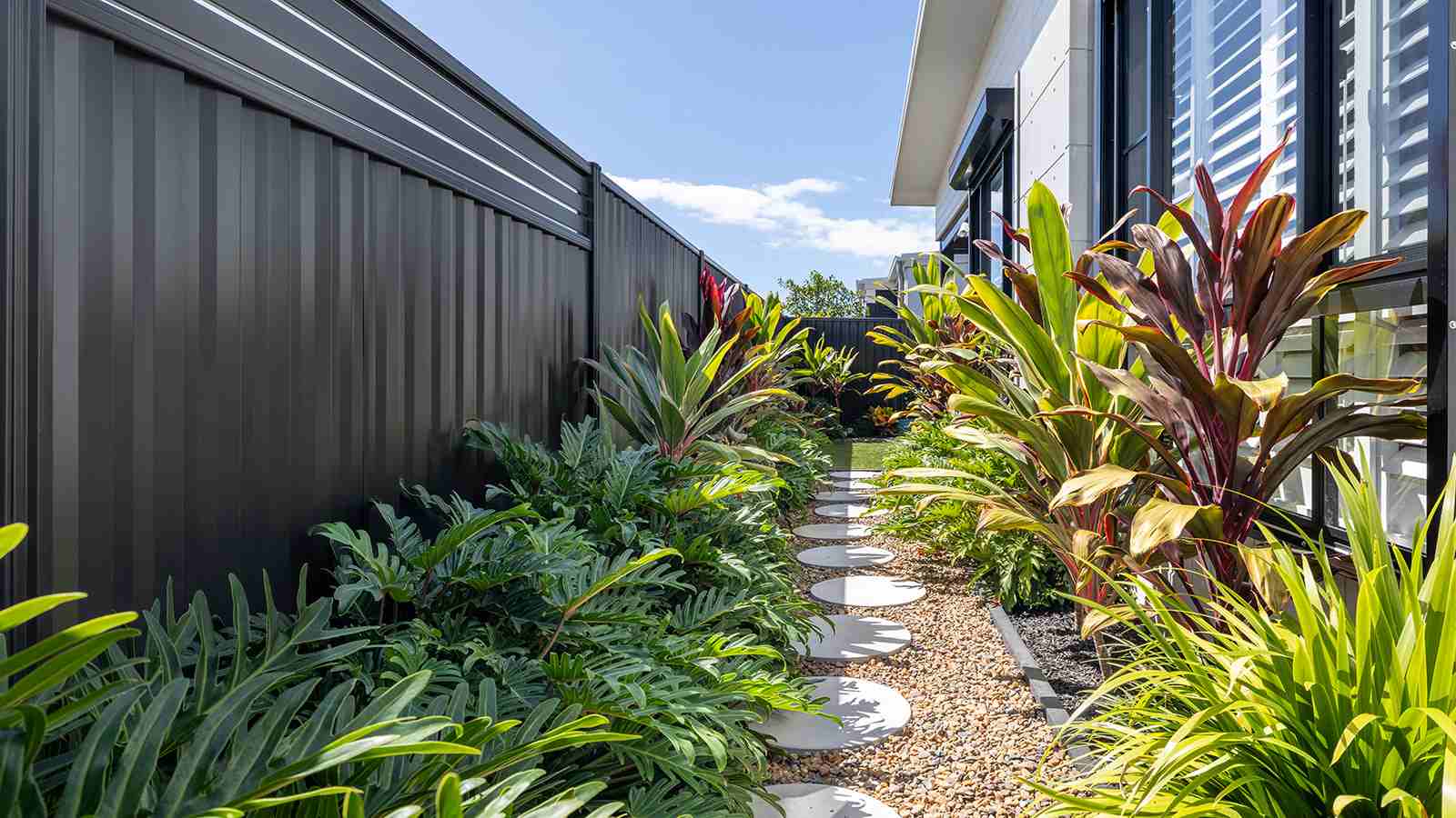 Mollymook D5