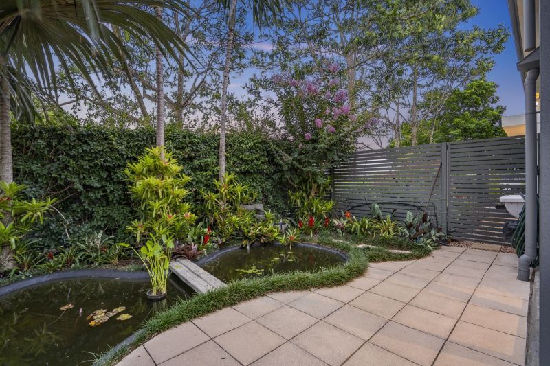 Site 166 - Established Saumarez