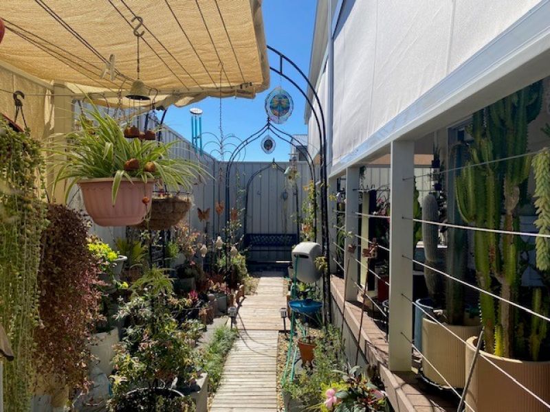 Peaceful Rural Outlook In a Quiet Location