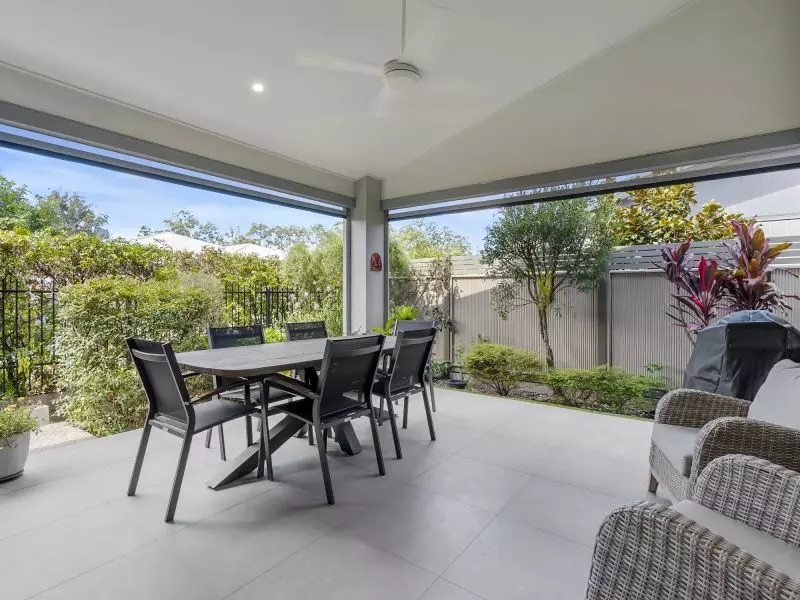 Site 28 - Established Sequoia