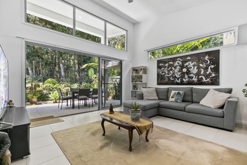 Stunning Rainforest Backdrop