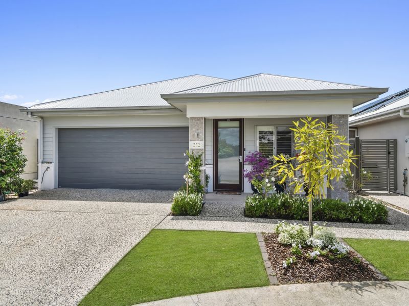 Site 212 - Established Gondwana