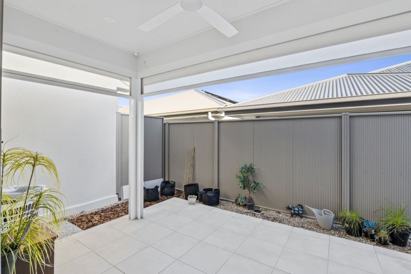 Site 207 - Established Beechmont