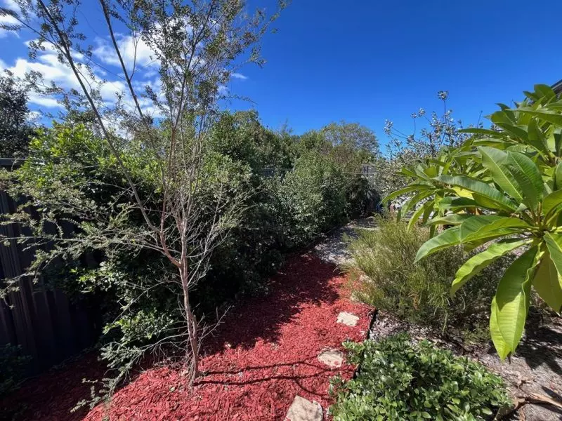 SUN DRENCHED SANCTUARY