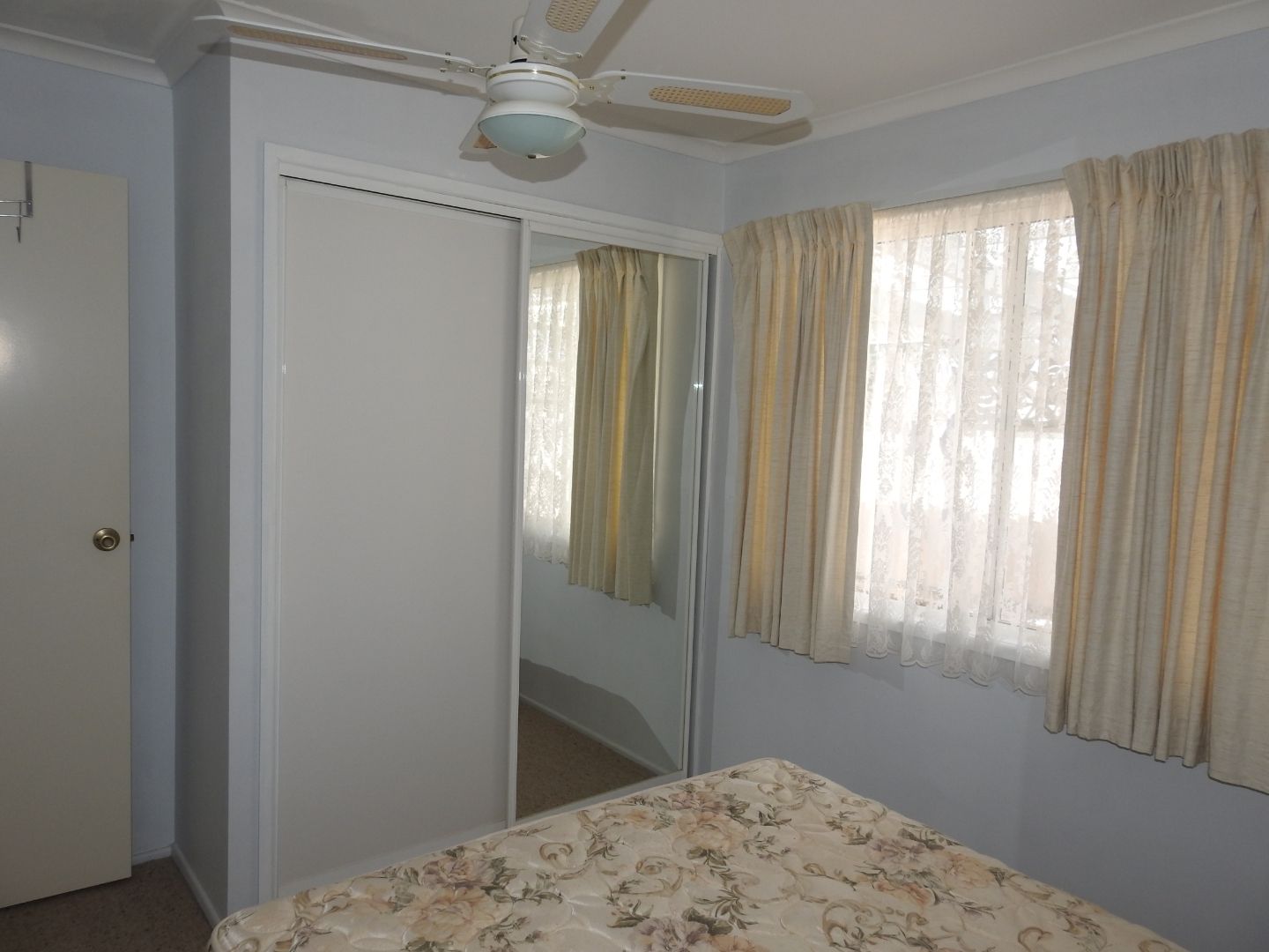 Great little Renovator