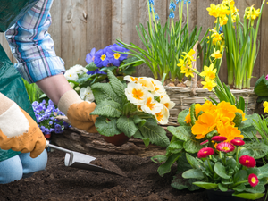 When streamlining your life, don’t forget to pack your green thumb  