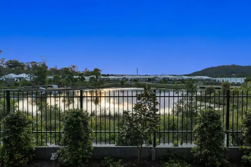 Site 258 - Established Kondalilla