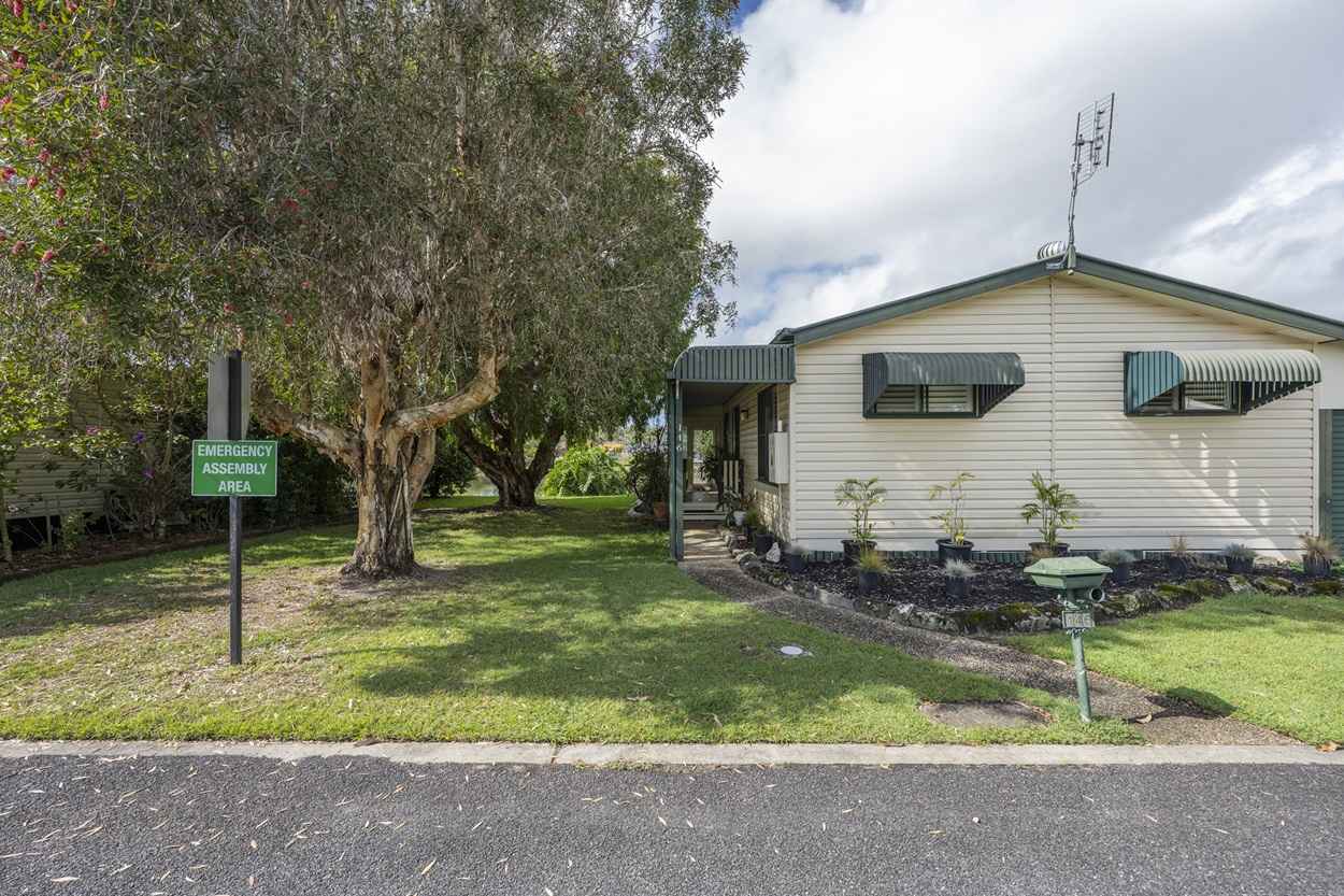 Yamba