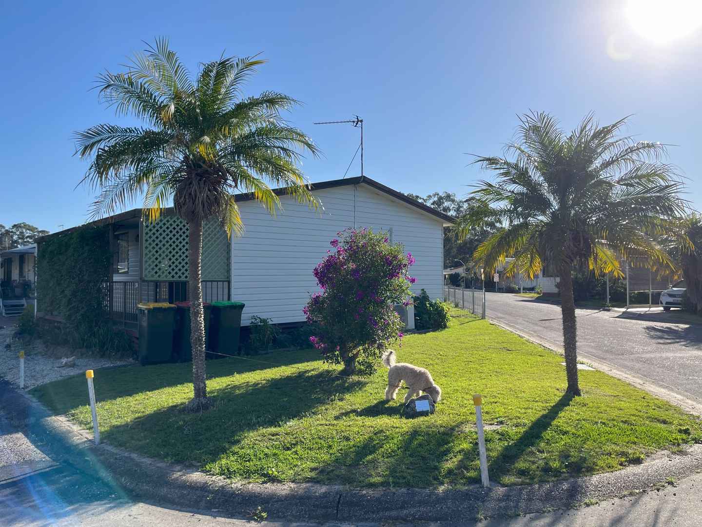 A Budget - Friendly Home Looking for Some TLC