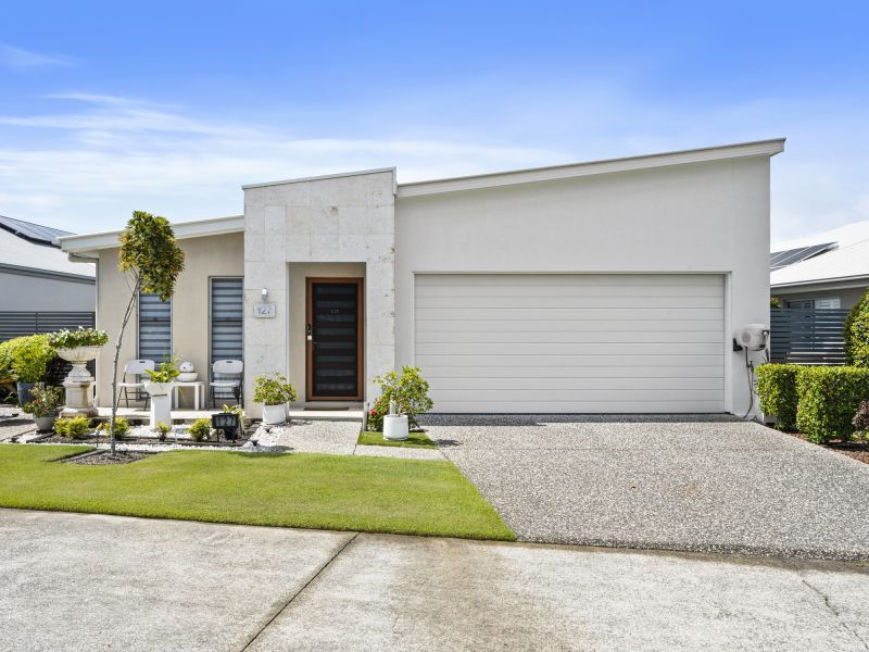 Site 127 - Established Special