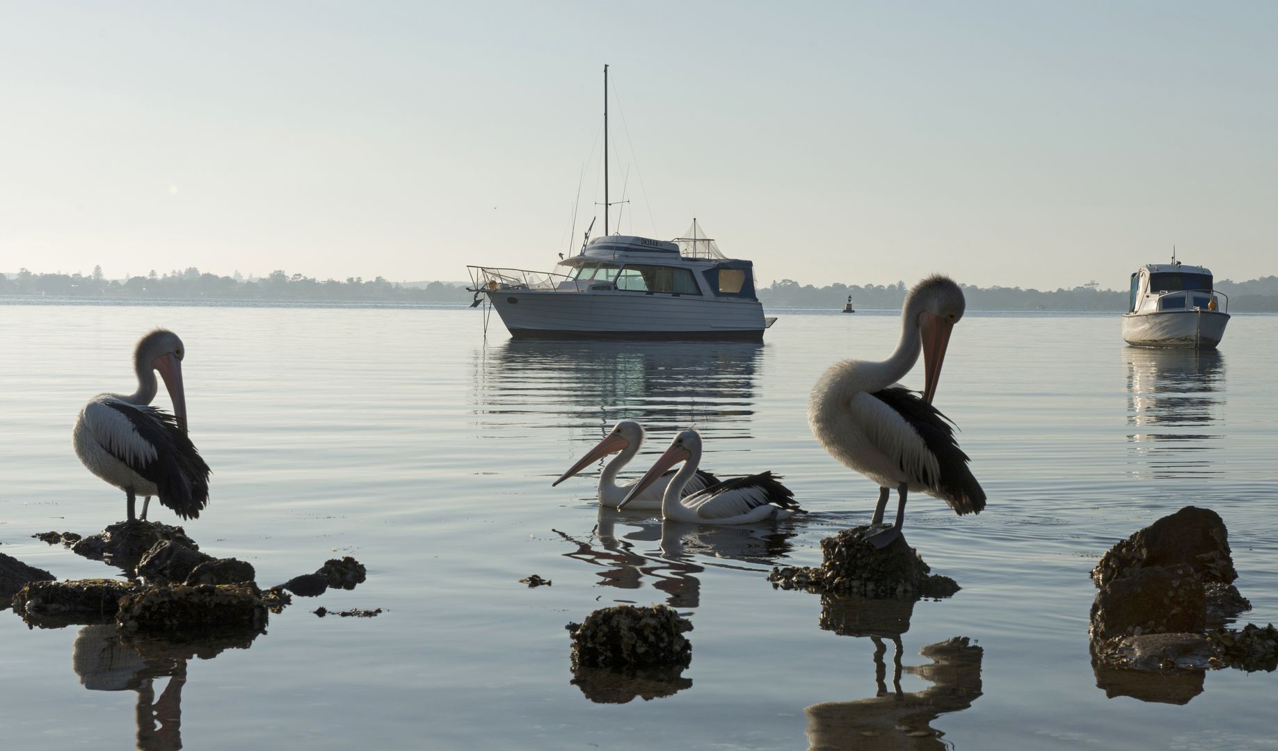 Lifestyle at the Lake – a perfect place to begin the next chapter of your life. 