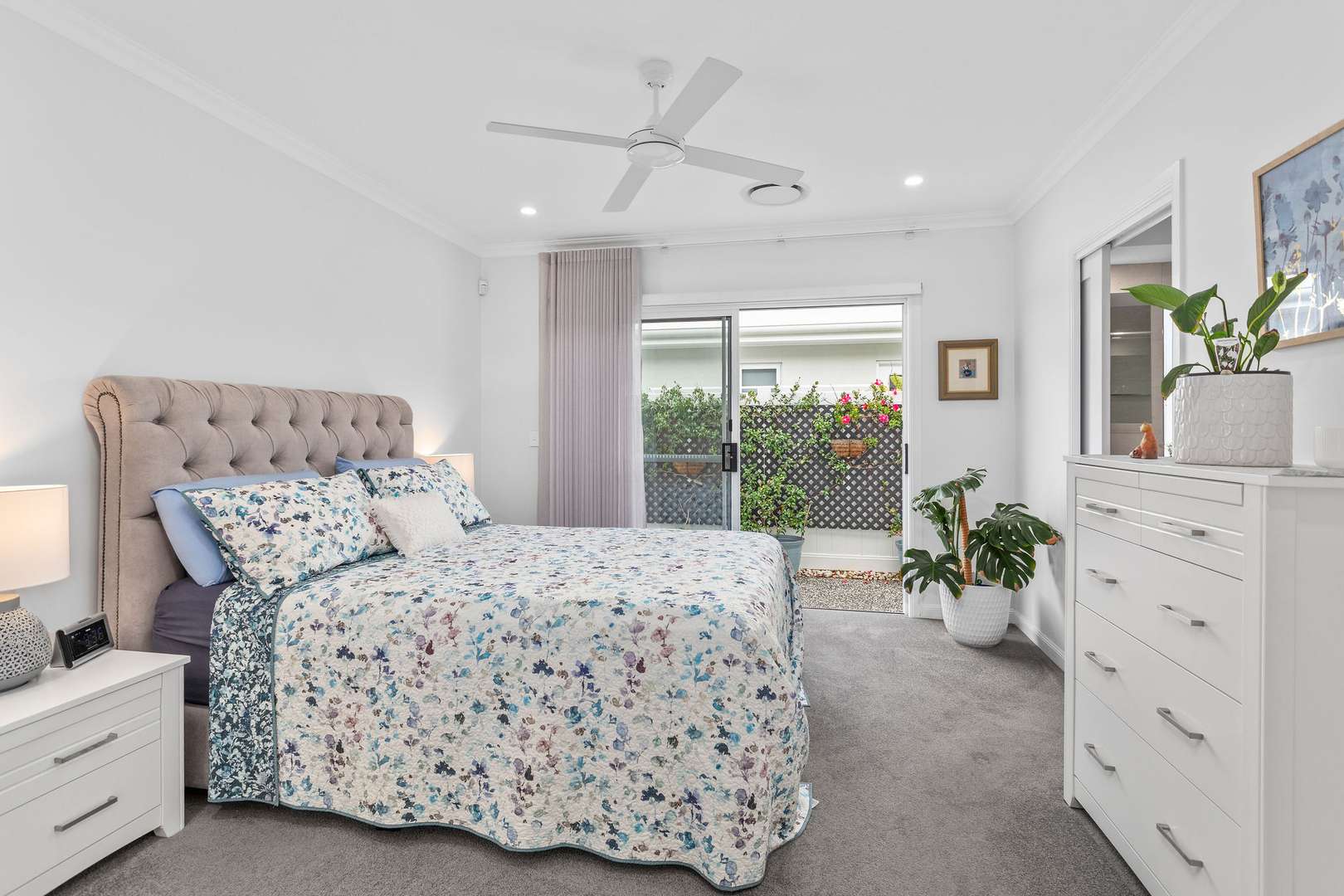 Beautifully Presented Palmetto