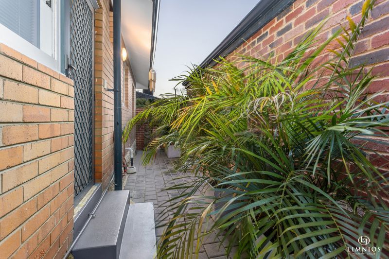 Mid Century Character!