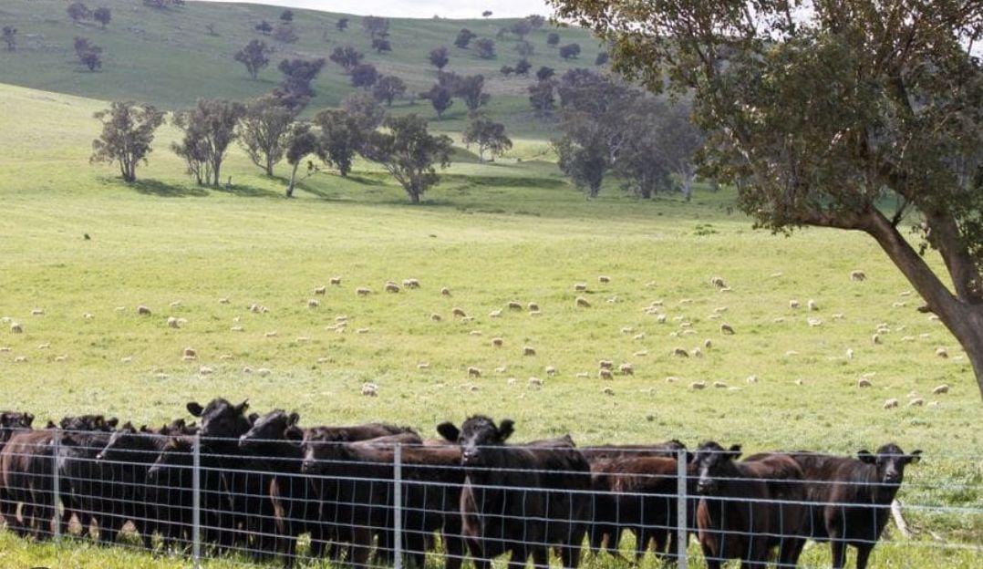 South West NSW
