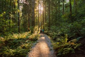 'Nature prescriptions' improve physical and mental health: study