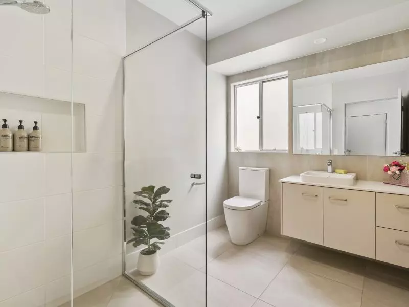 Site 299 - Established Sequoia