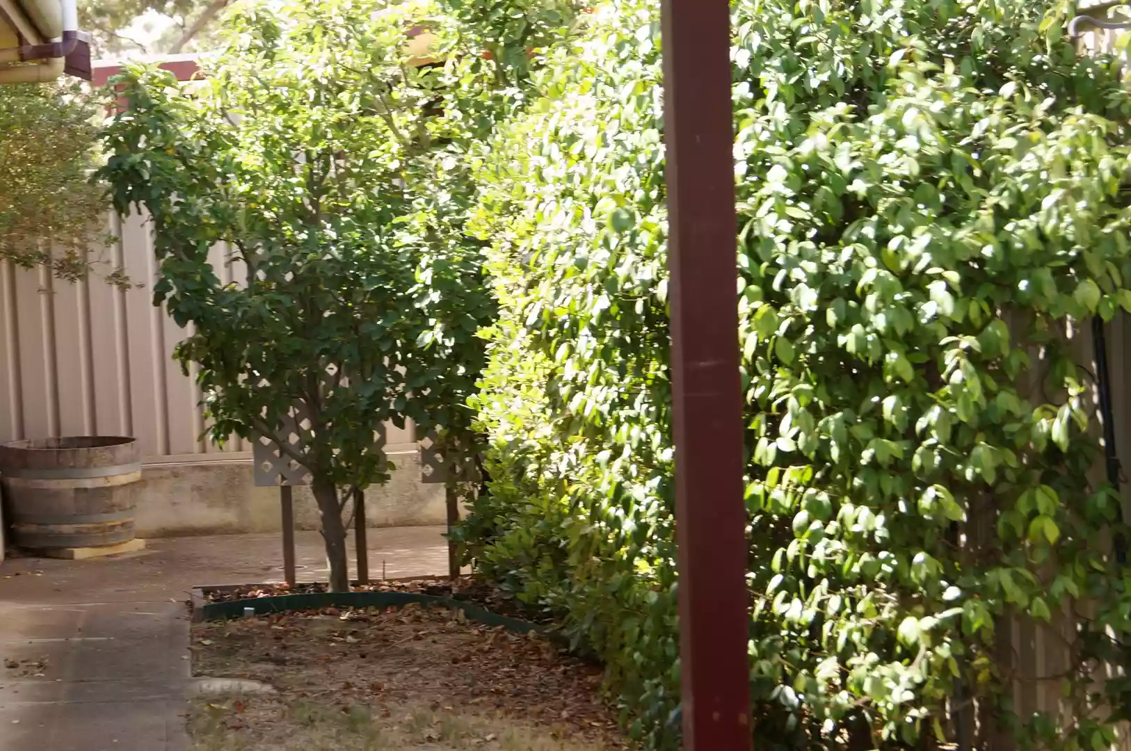 Two Bedroom - Country Feel