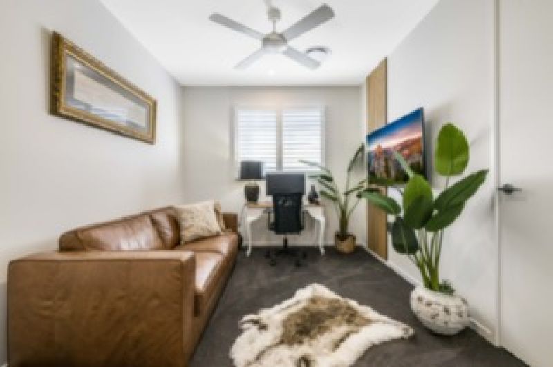 Site 262 - Established Sequoia