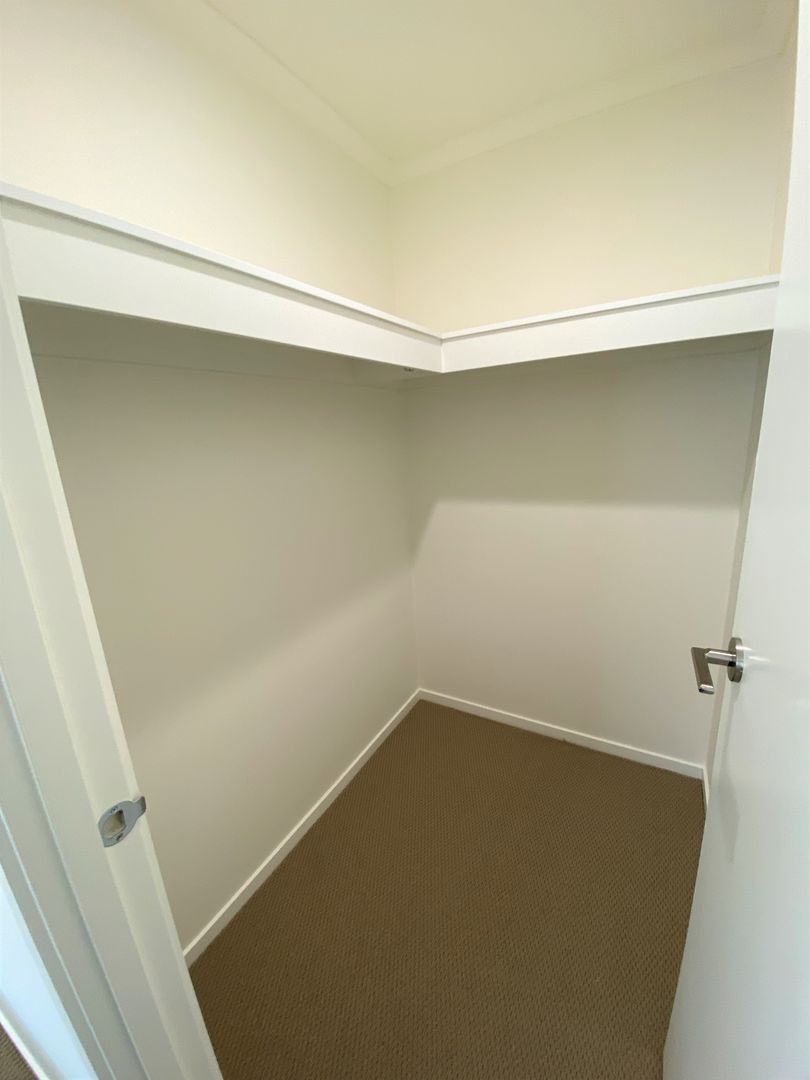 Portland Tourist Park - The Goshawk