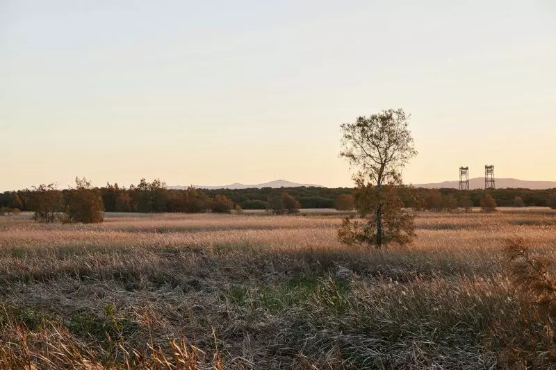 THE FRESHWATER- Brand new, 3 Bedroom, Move in Ready Home