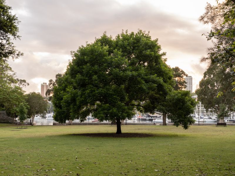 Harbourside Living in Prestigious Elizabeth Bay
