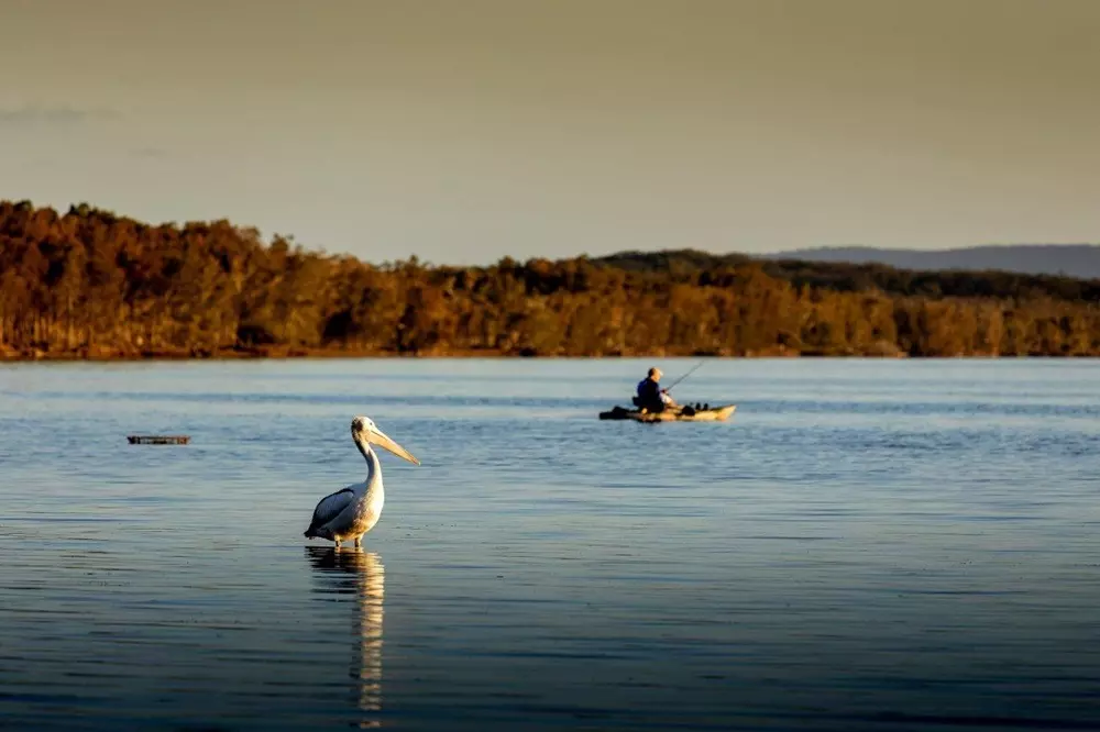 Discover Over 50s Lakefront Living
