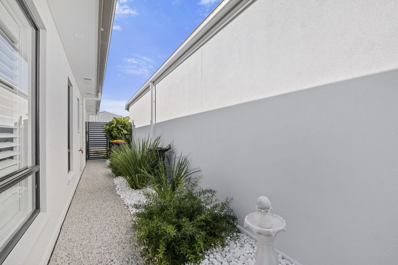 Site 264 - Established Beechmont