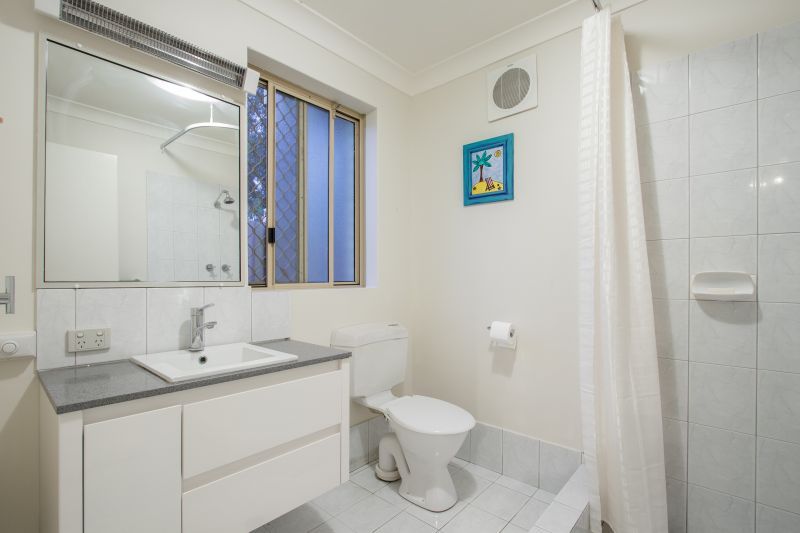 Tree Change In The City