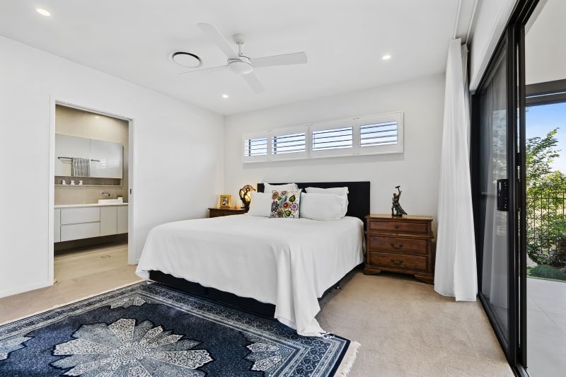 Site 217 - Established Sequoia