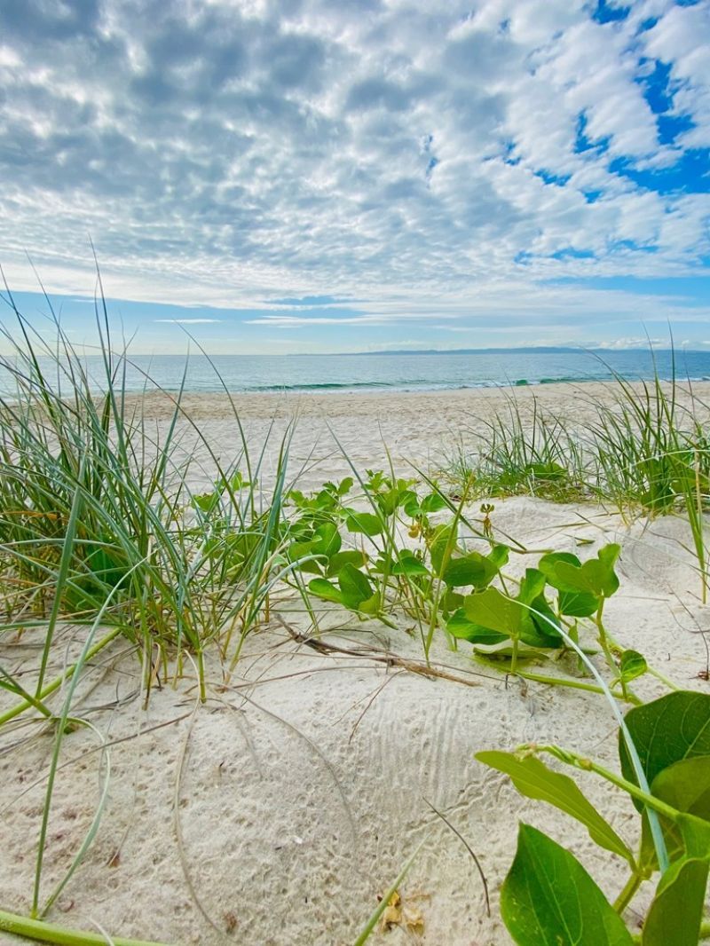 A Tucked-Away Treasure Trove!