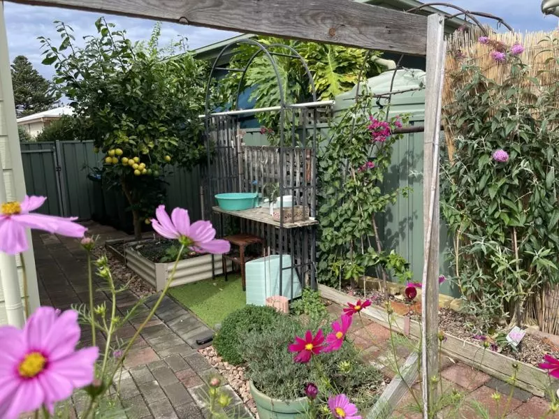 Stunning home - Pretty garden