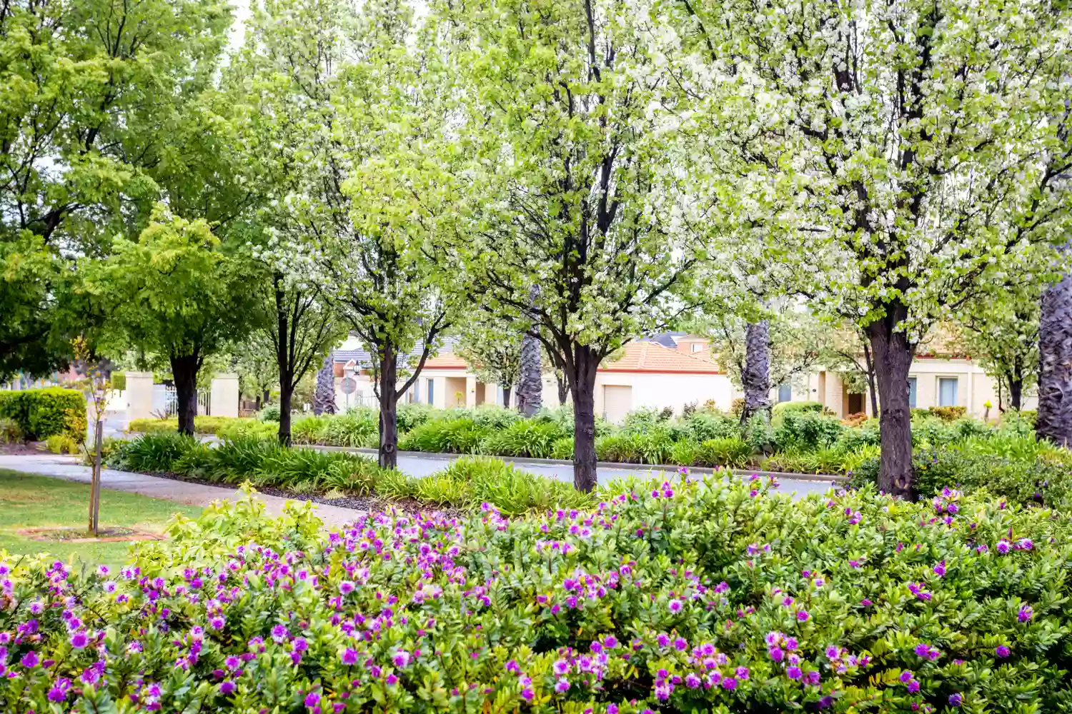 Beautiful Villa in a Safe and Secure Village!