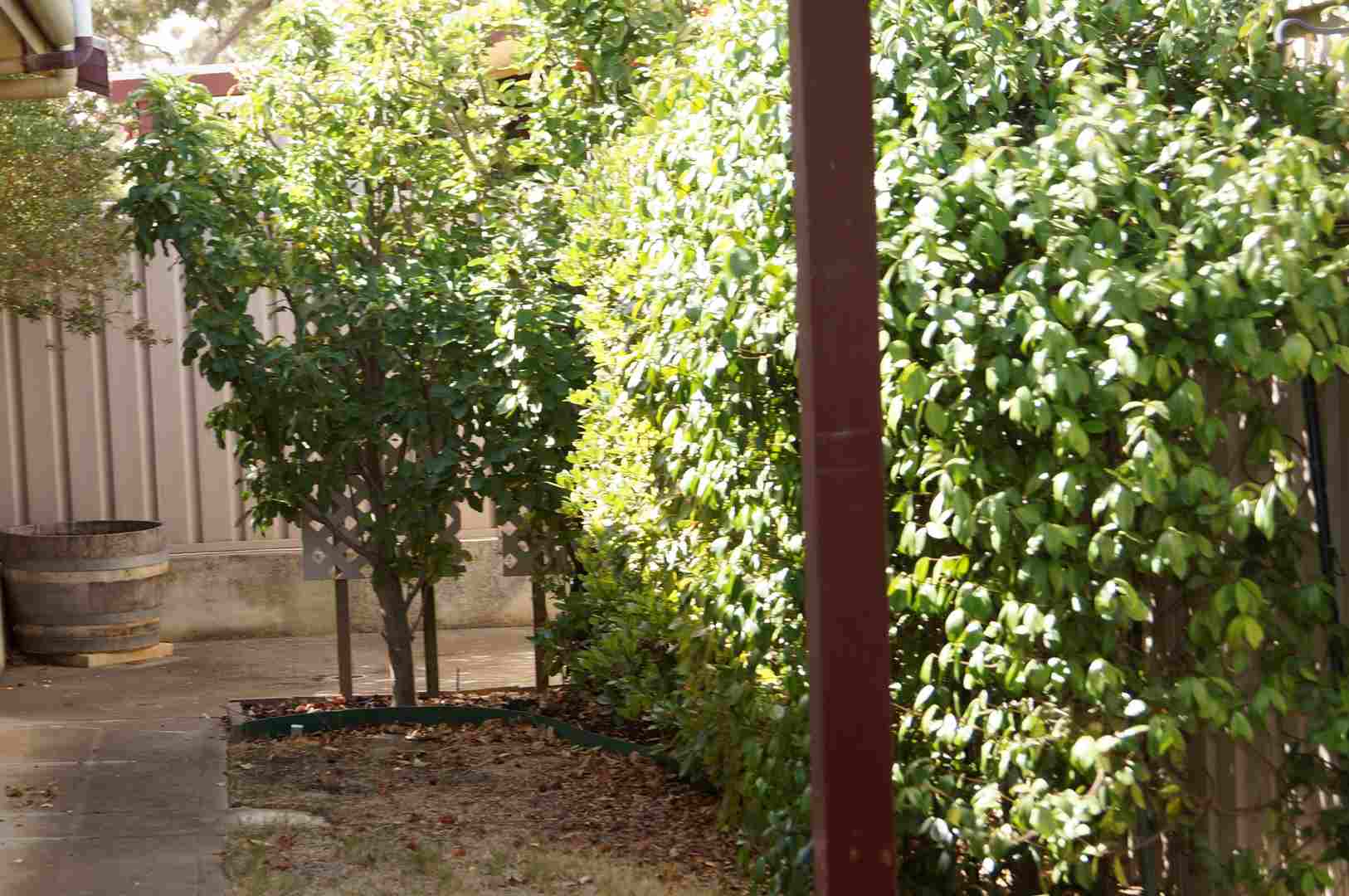 Two Bedroom - Country Feel