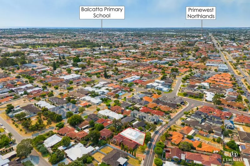 Explore your options!