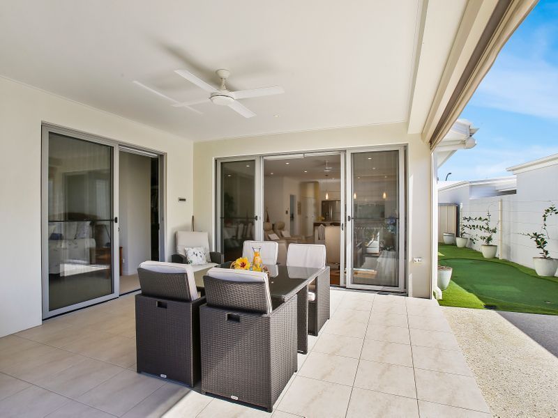 Waterfront Bird Watching