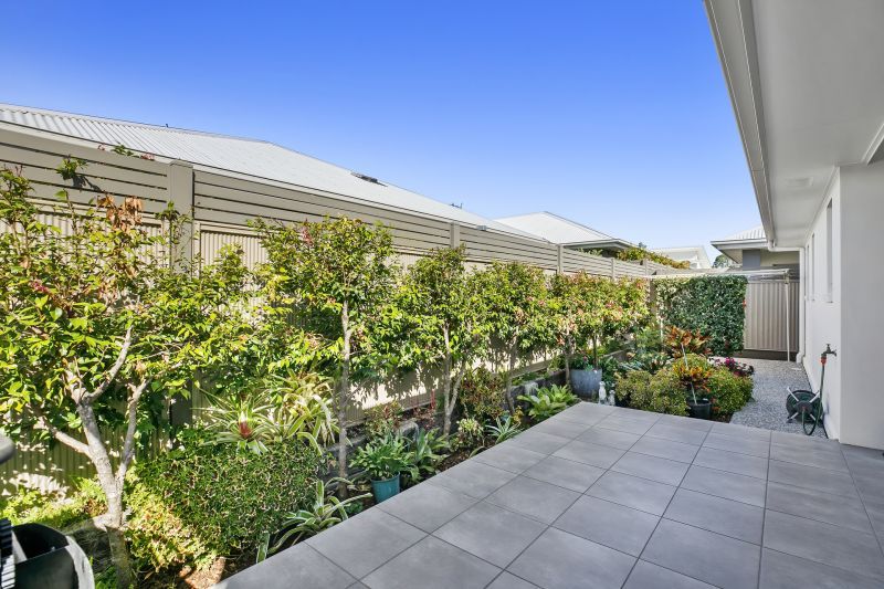 Site 58 - Established Bellview