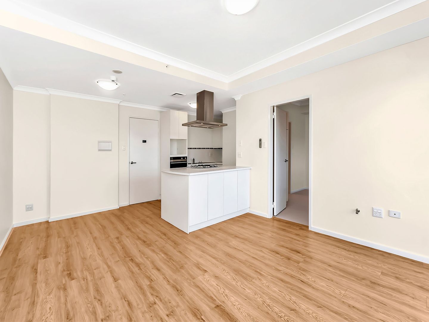 Renovated Apartment