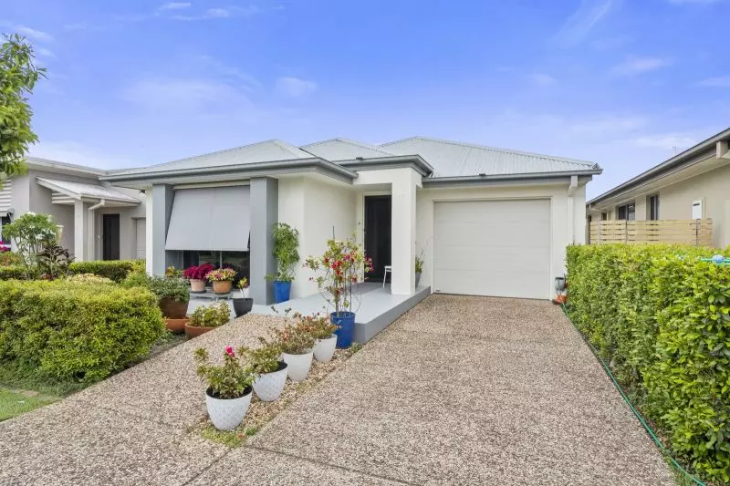 Site 36 - Established Hinchinbrook